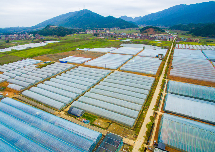 航拍汝城县大坪镇湘汝生态农业种植基地