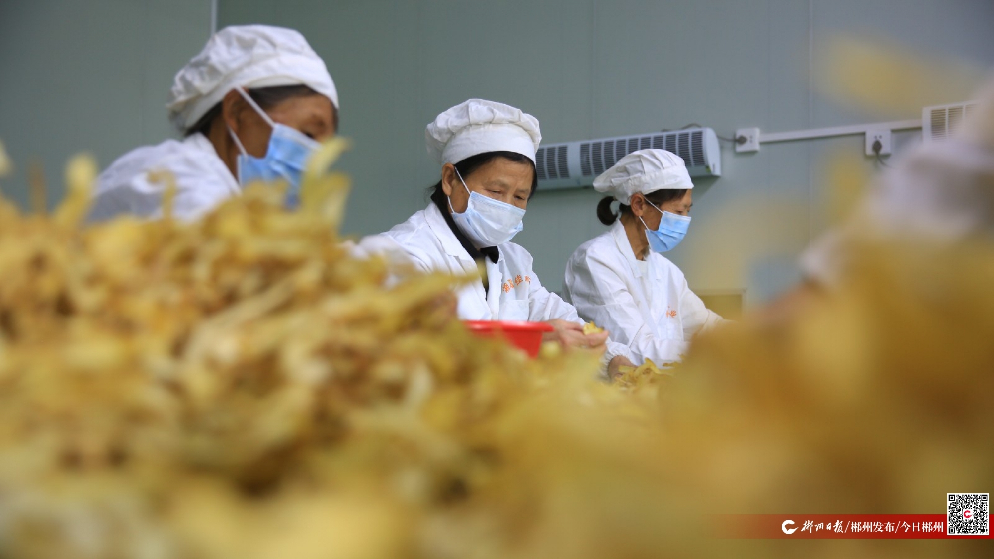 桂阳保洁服务：城市清洁的隐形英雄