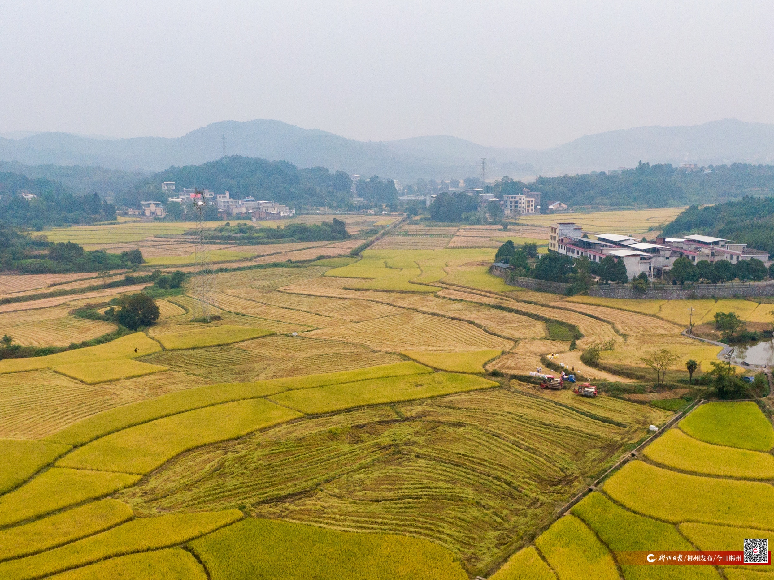 沧州市沧县天气在线 沧州市沧县天气在线