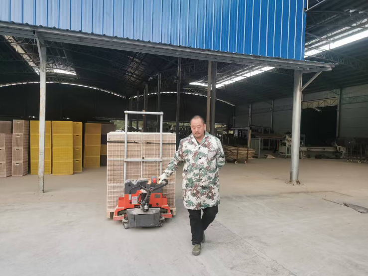 乐竞全站app登录app郴新潮管事室｜一个就业助扶车间的新故事