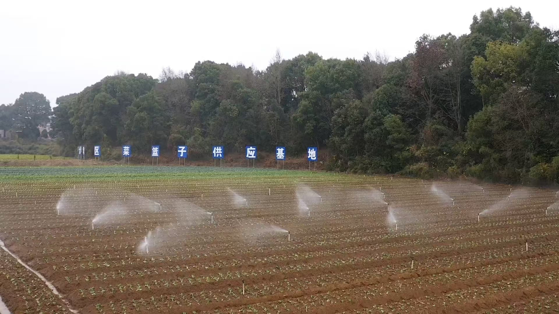 郴州多措并举保障农业生产安全(图2)