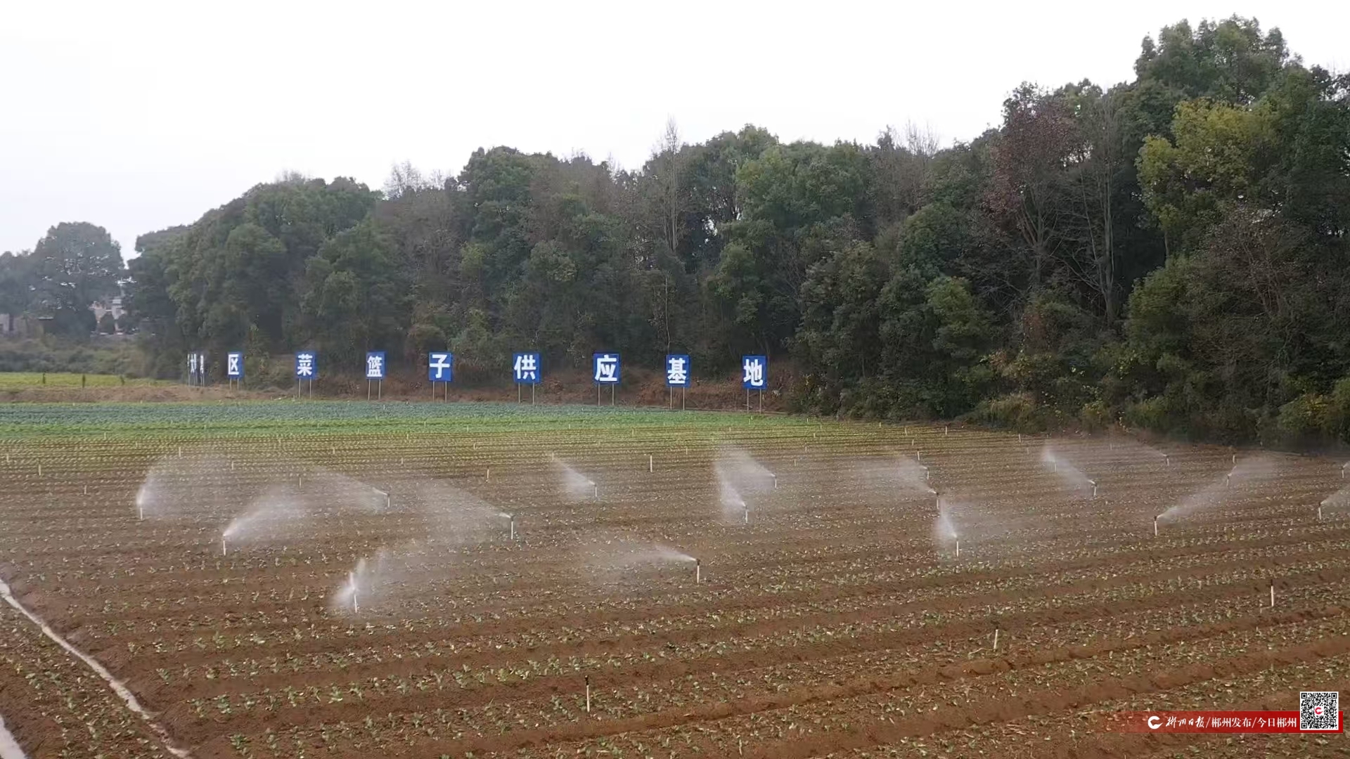 郴州多措并举保障农业生产安全(图2)