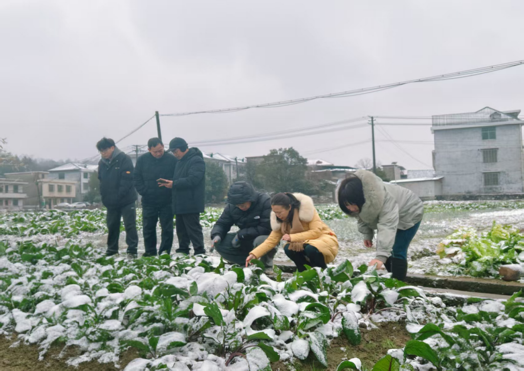 郴州多措并举保障农业生产安全(图3)