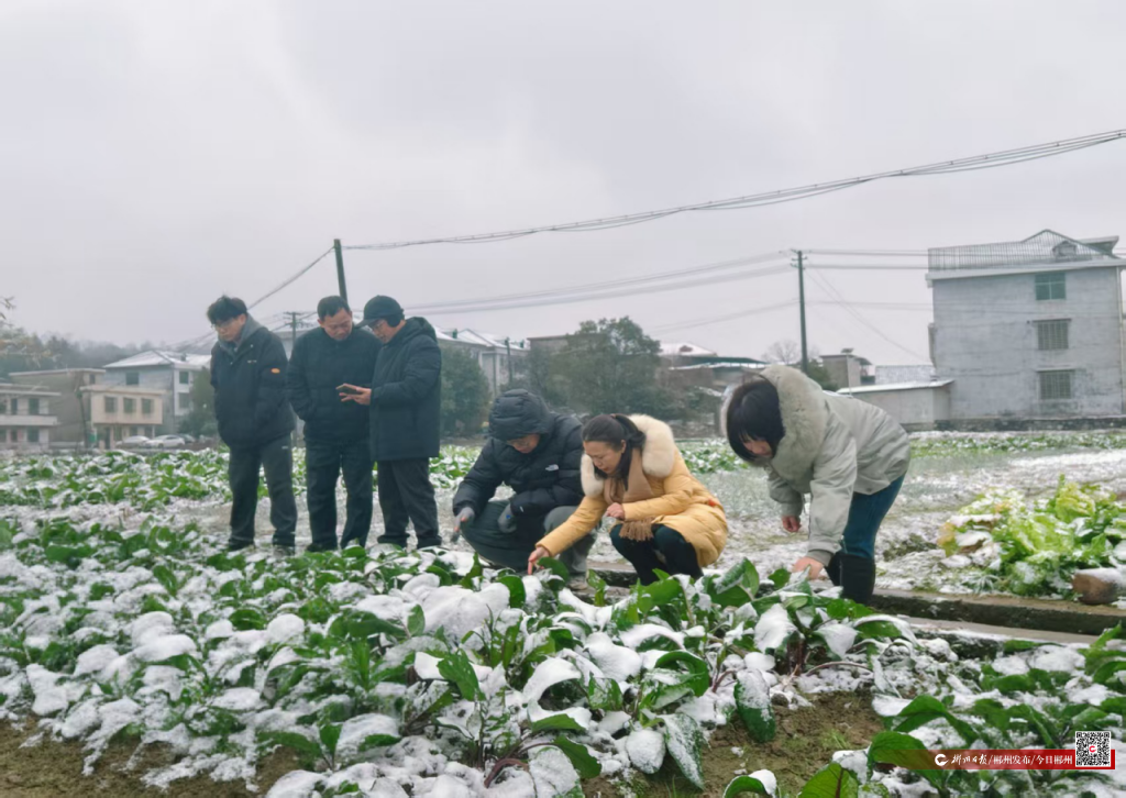 郴州多措并举保障农业生产安全(图3)